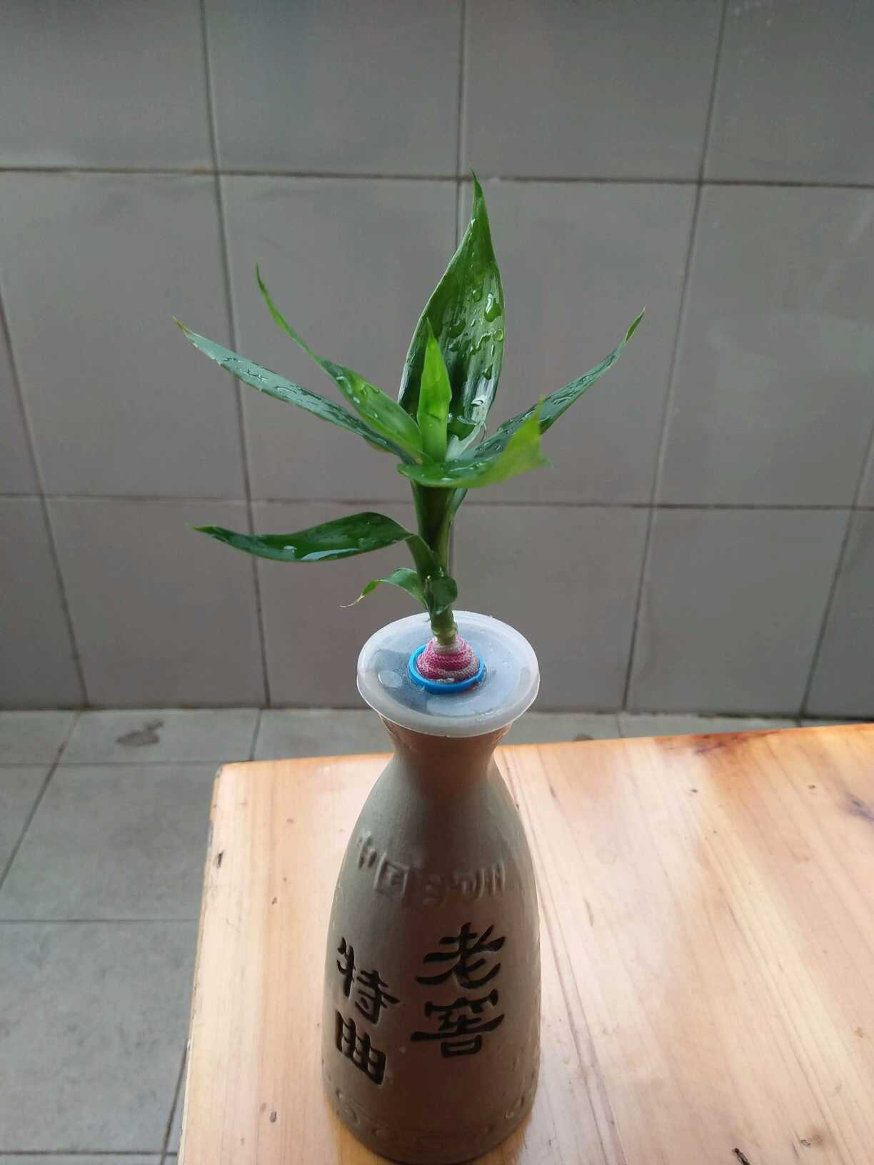 ‘’，slightly，