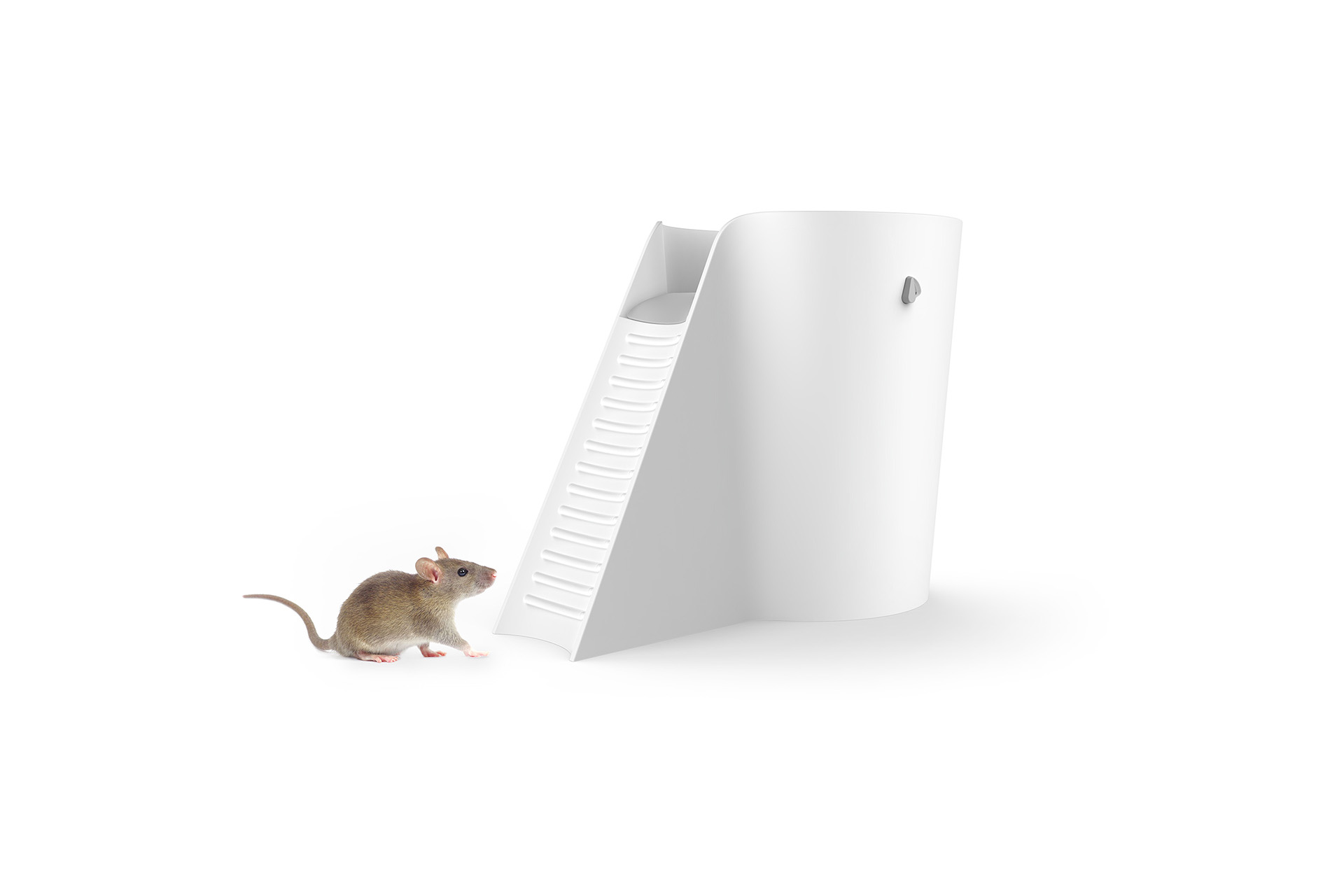 Humanitarian trap，pest，