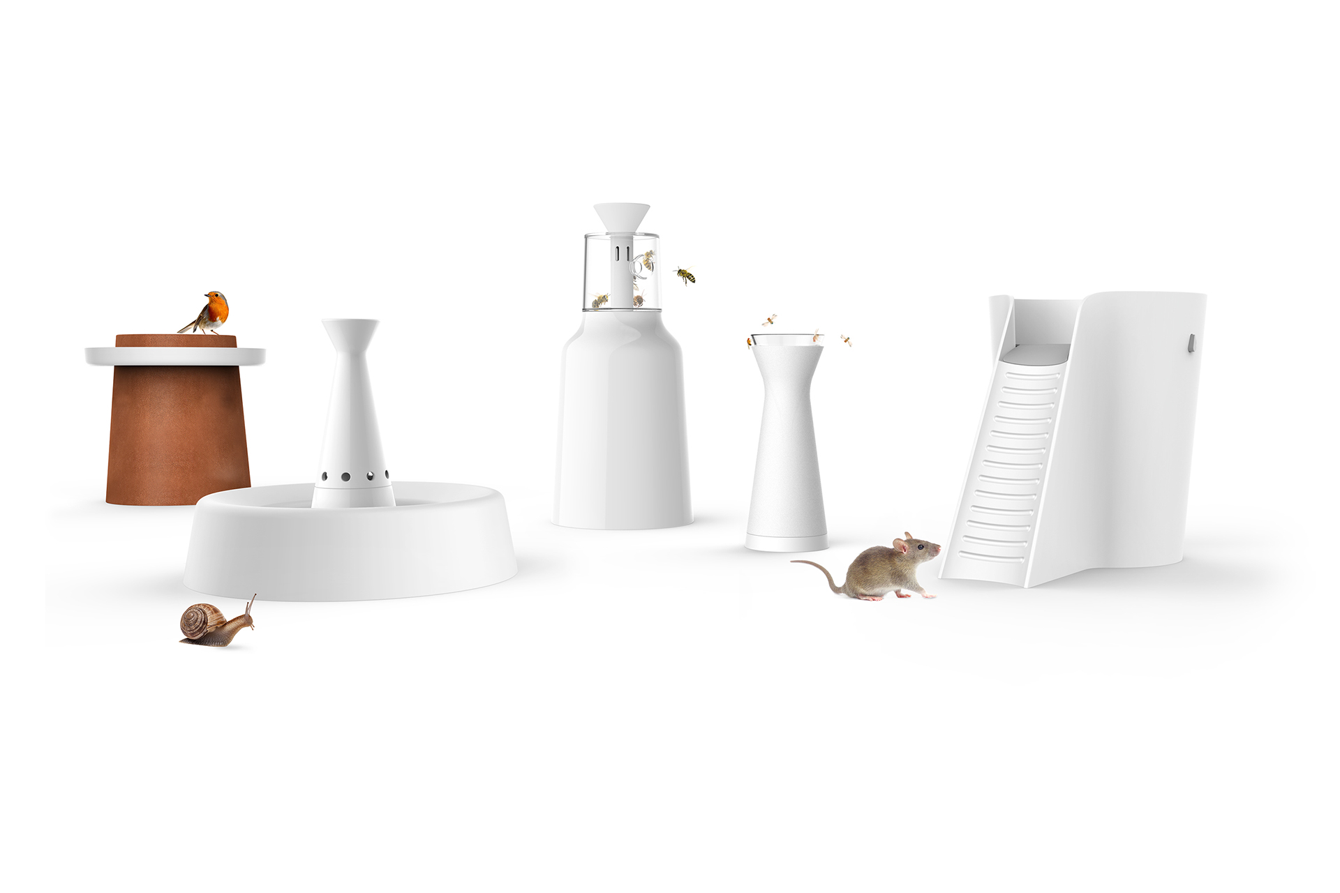 Humanitarian trap，pest，