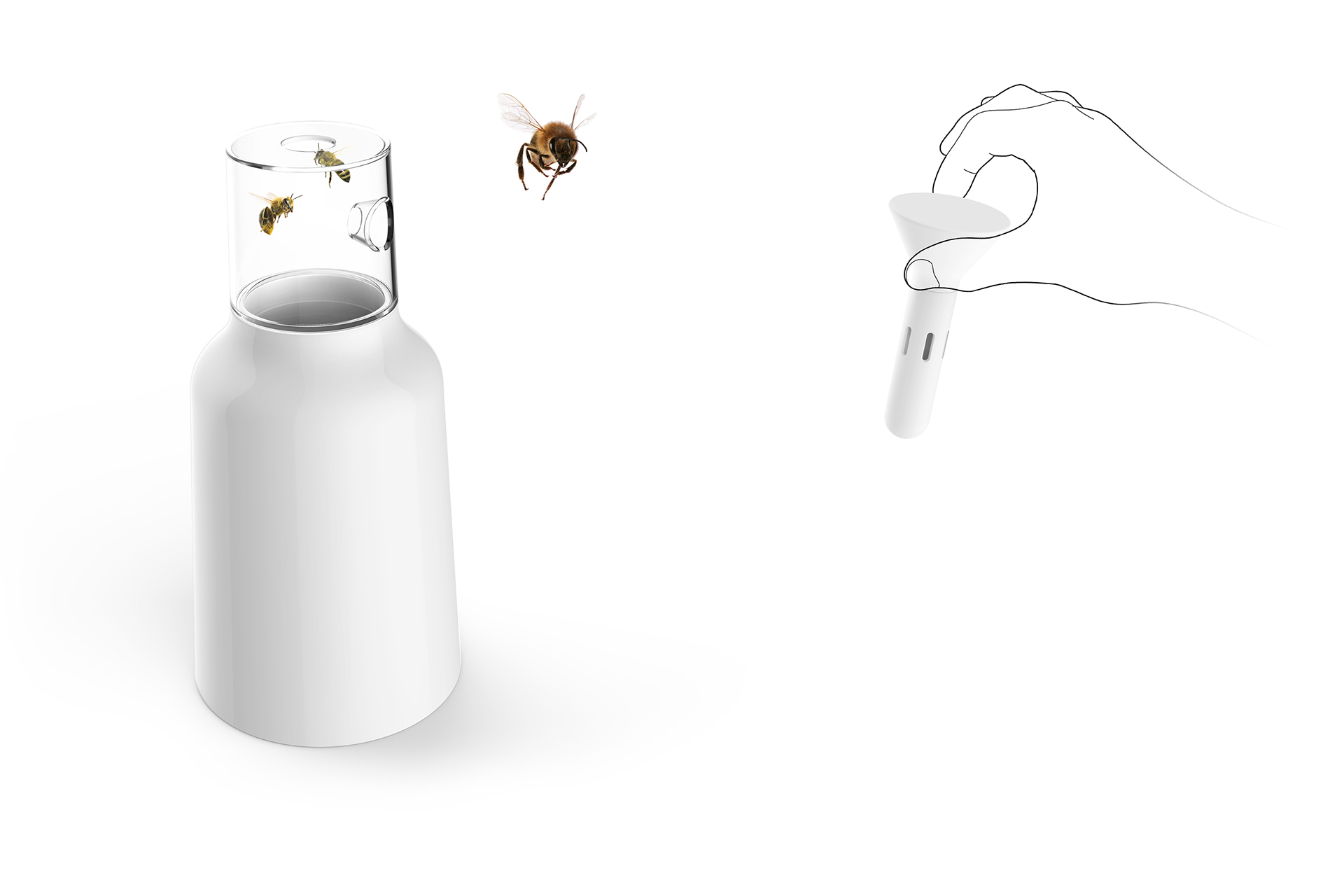 Humanitarian trap，pest，