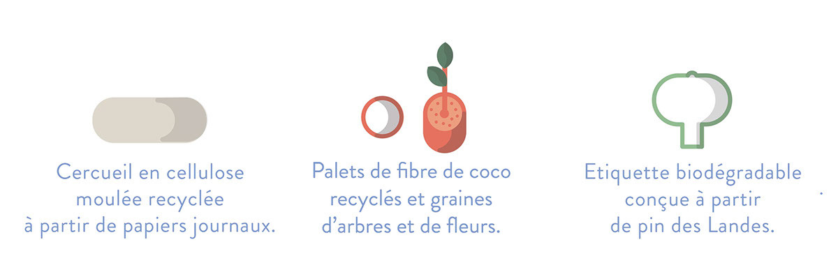 environment protection，ecology，Botany，fertilizer，corpse，