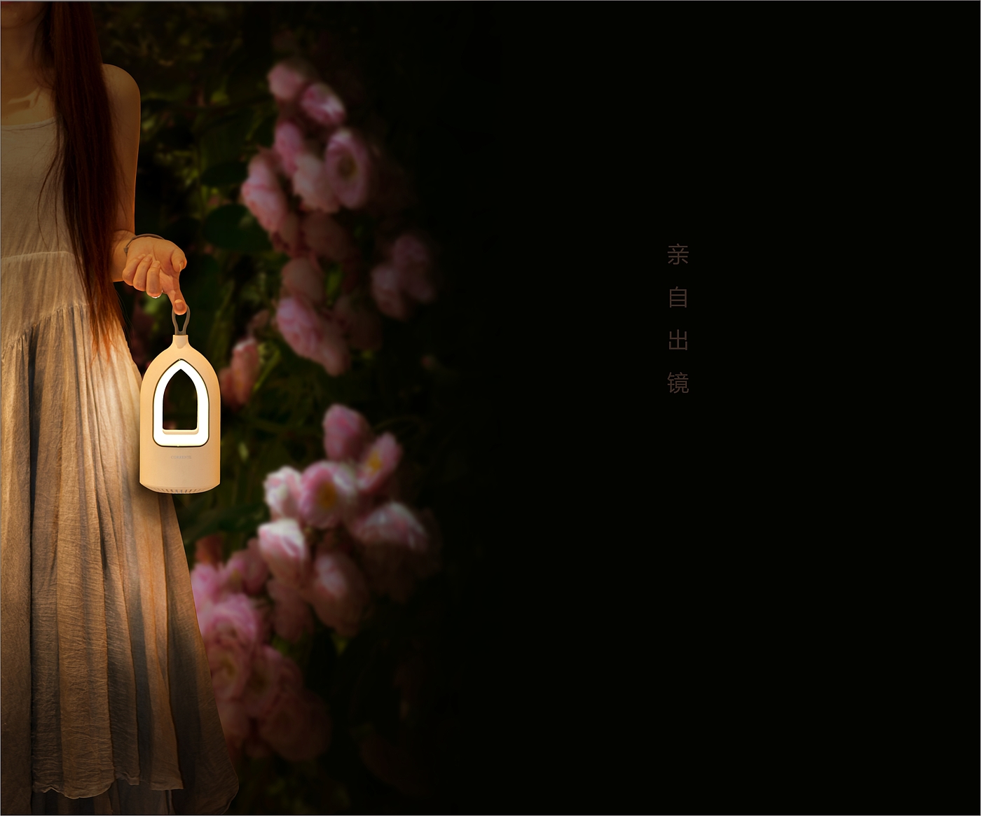 Mosquito trap, night light, elegant castle，