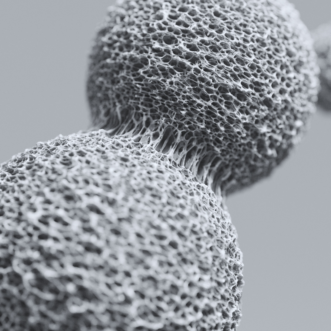 shoes，originality，leather shoes，3D modeling，