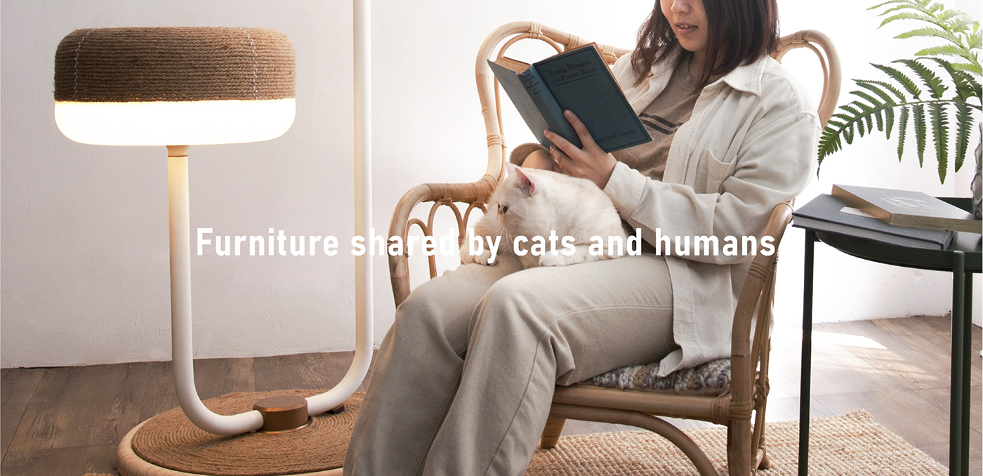 Cat climbing frame，Appearance design，delicate，product design，