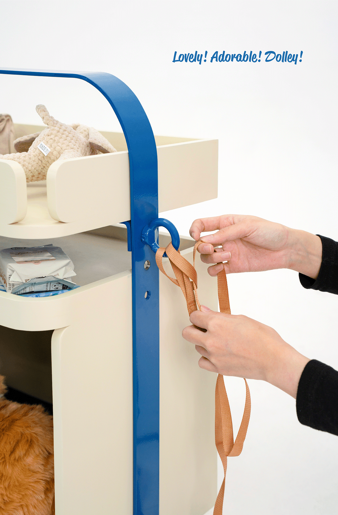 Pet nest，Appearance design，delicate，product design，Dolley，
