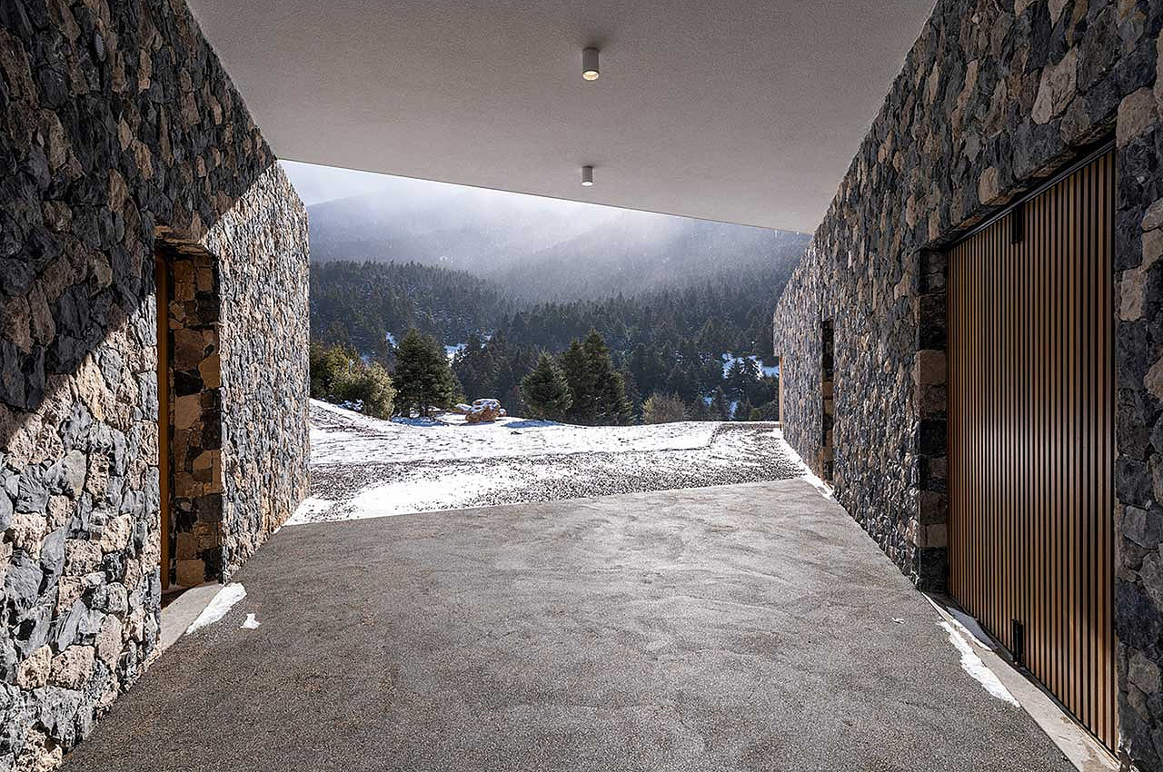 wood，texture，forest，mountain range，Snowfall，