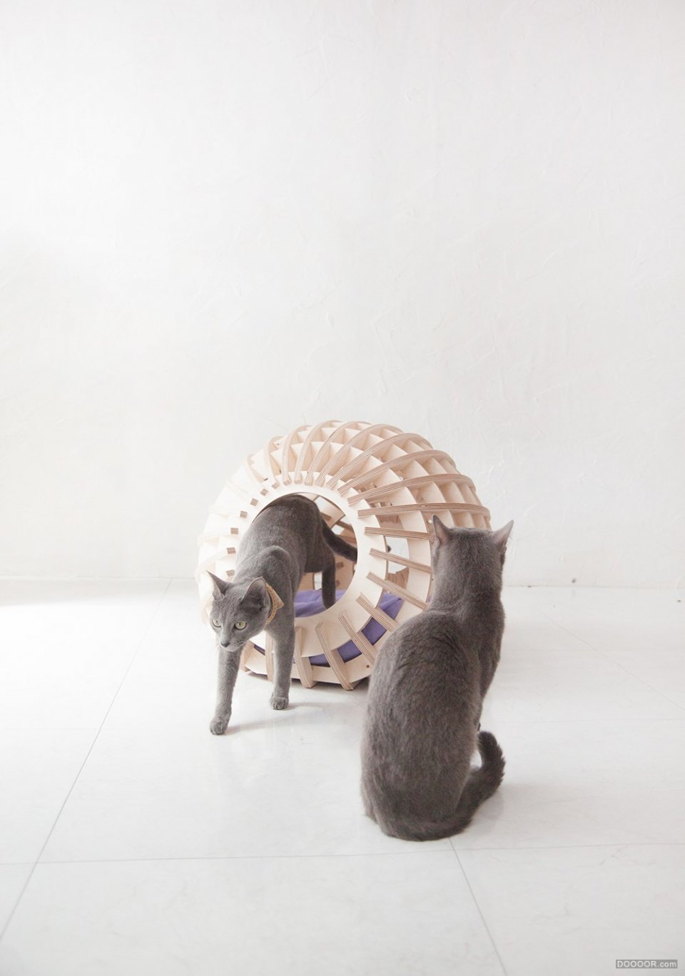 furniture，Home Furnishing，Pets，Pet furniture，modular，birch，Plywood，