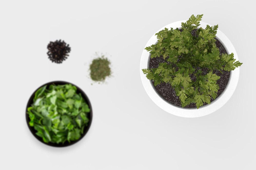 planter，LED lamp，Simple measuring system，Vegetables，Herbal medicine，