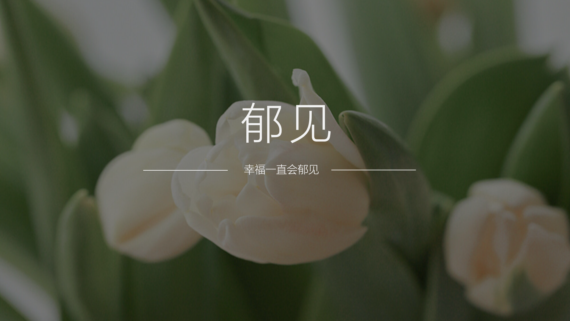 serialization，Light luxury，Petty bourgeoisie，female sex，mature，grace，