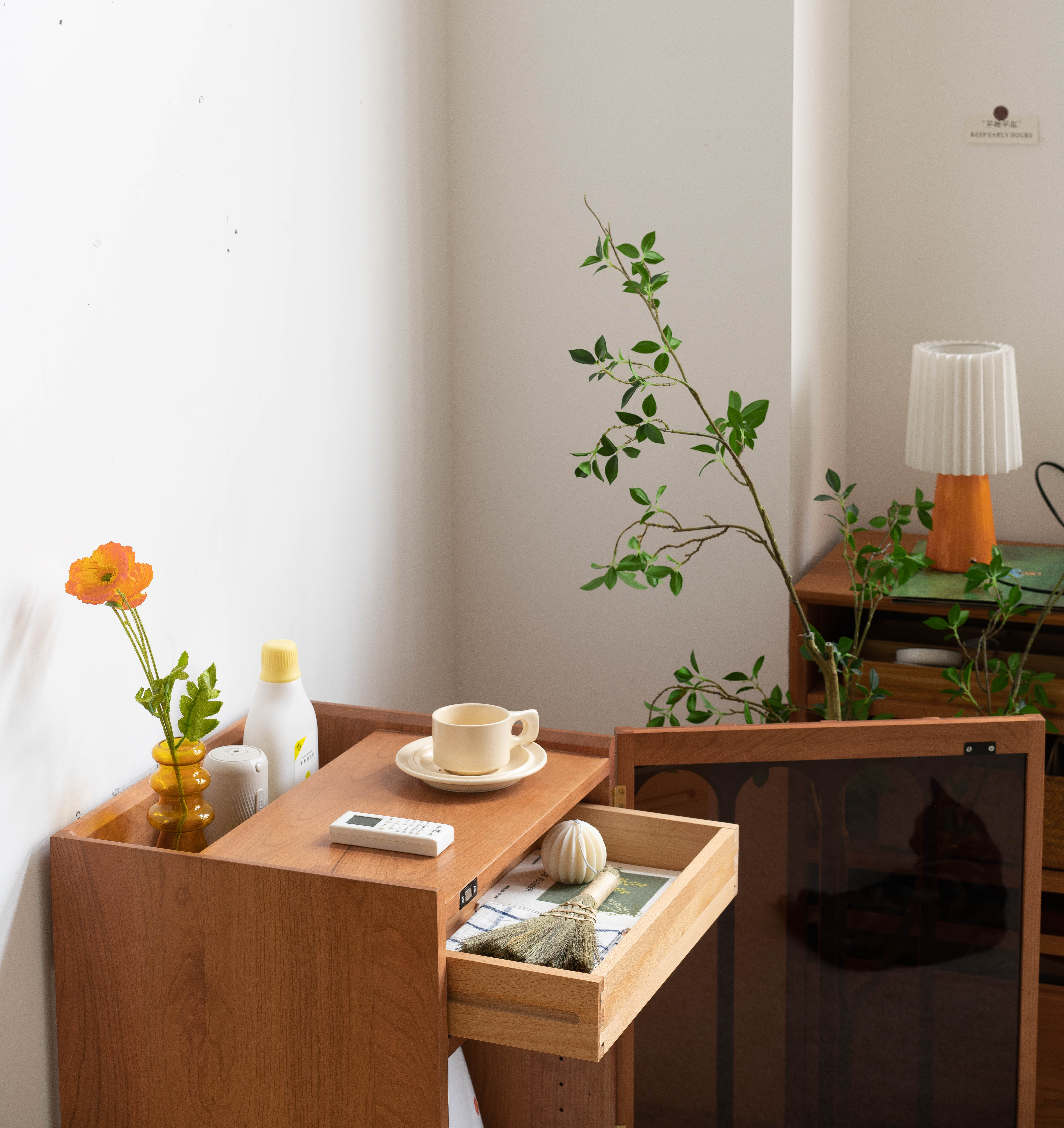 Solid wood furniture，furniture design ，product design，sweeping machine，Side cabinet，