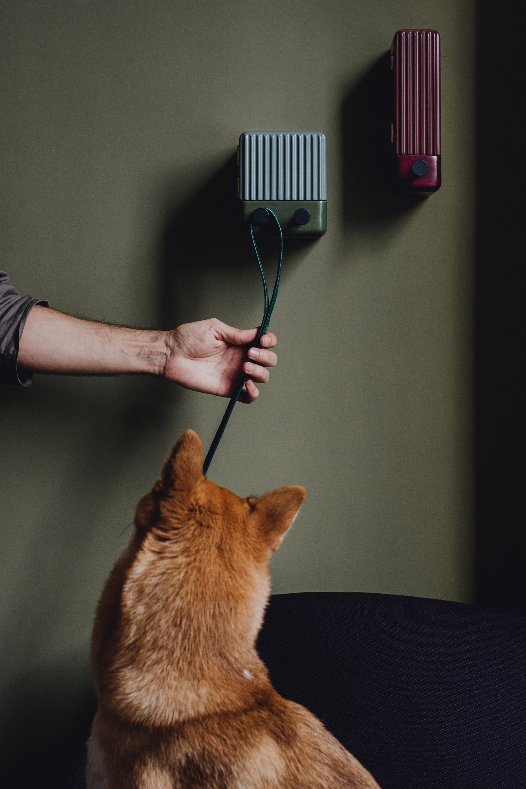 Ferōz，Pets，Casa Ferōz，Olive green，