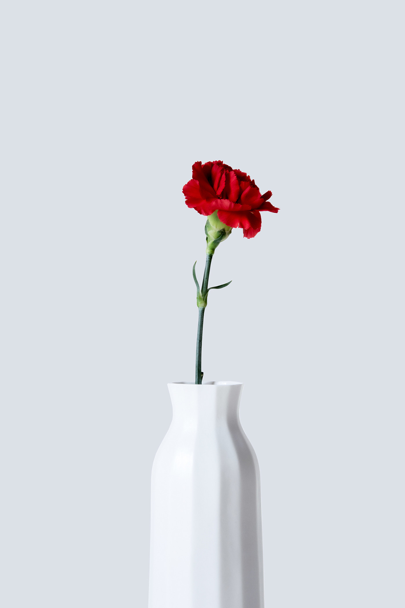 ceramics，process planning，manual，tableware，Home Furnishing，Formed lines，