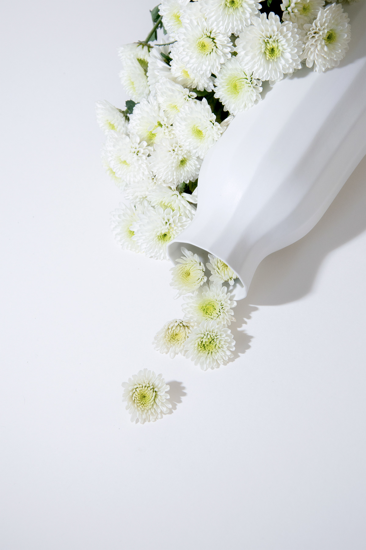 ceramics，process planning，manual，tableware，Home Furnishing，Formed lines，