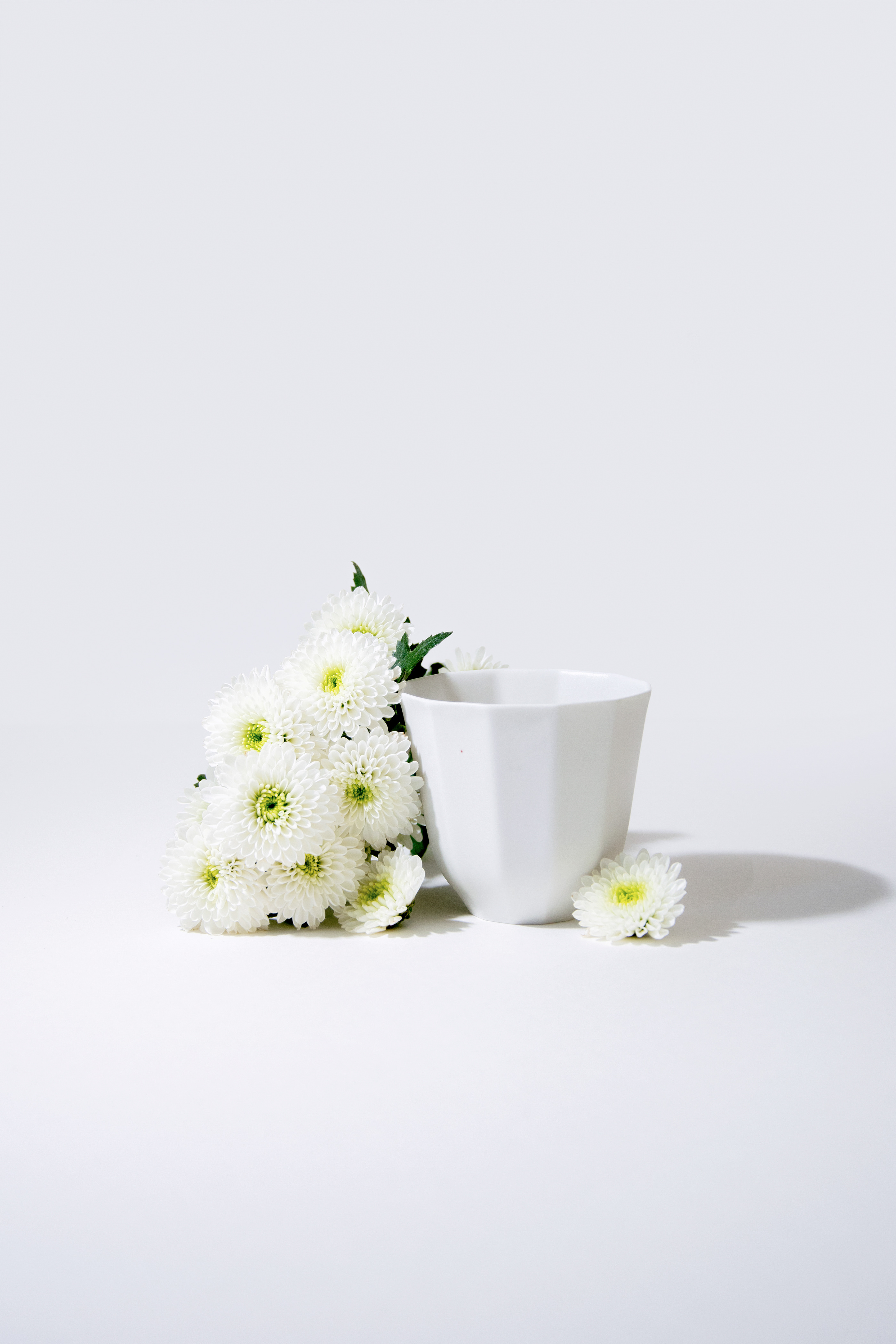 ceramics，process planning，manual，tableware，Home Furnishing，Formed lines，