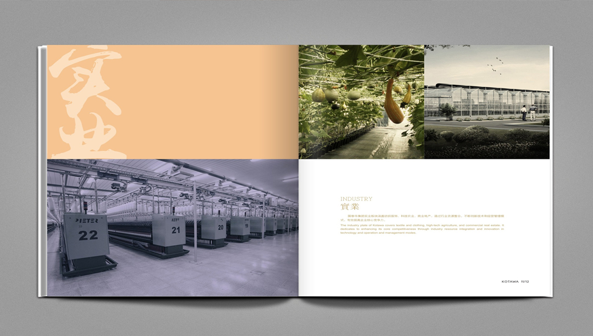 Brochure Design ，