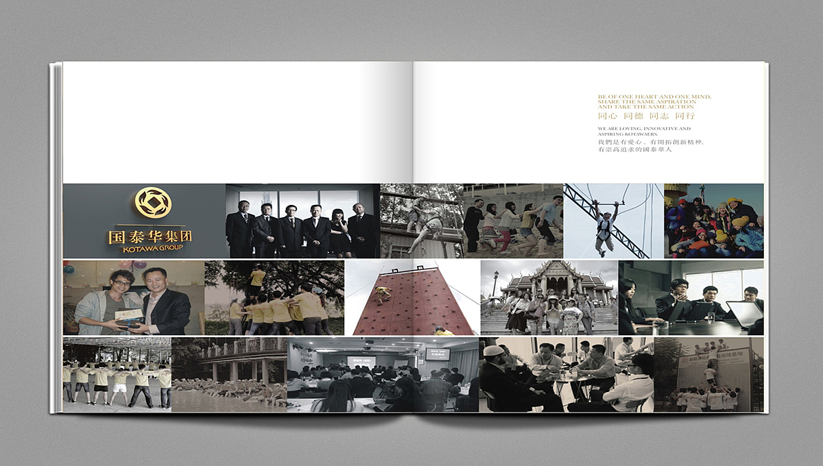 Brochure Design ，