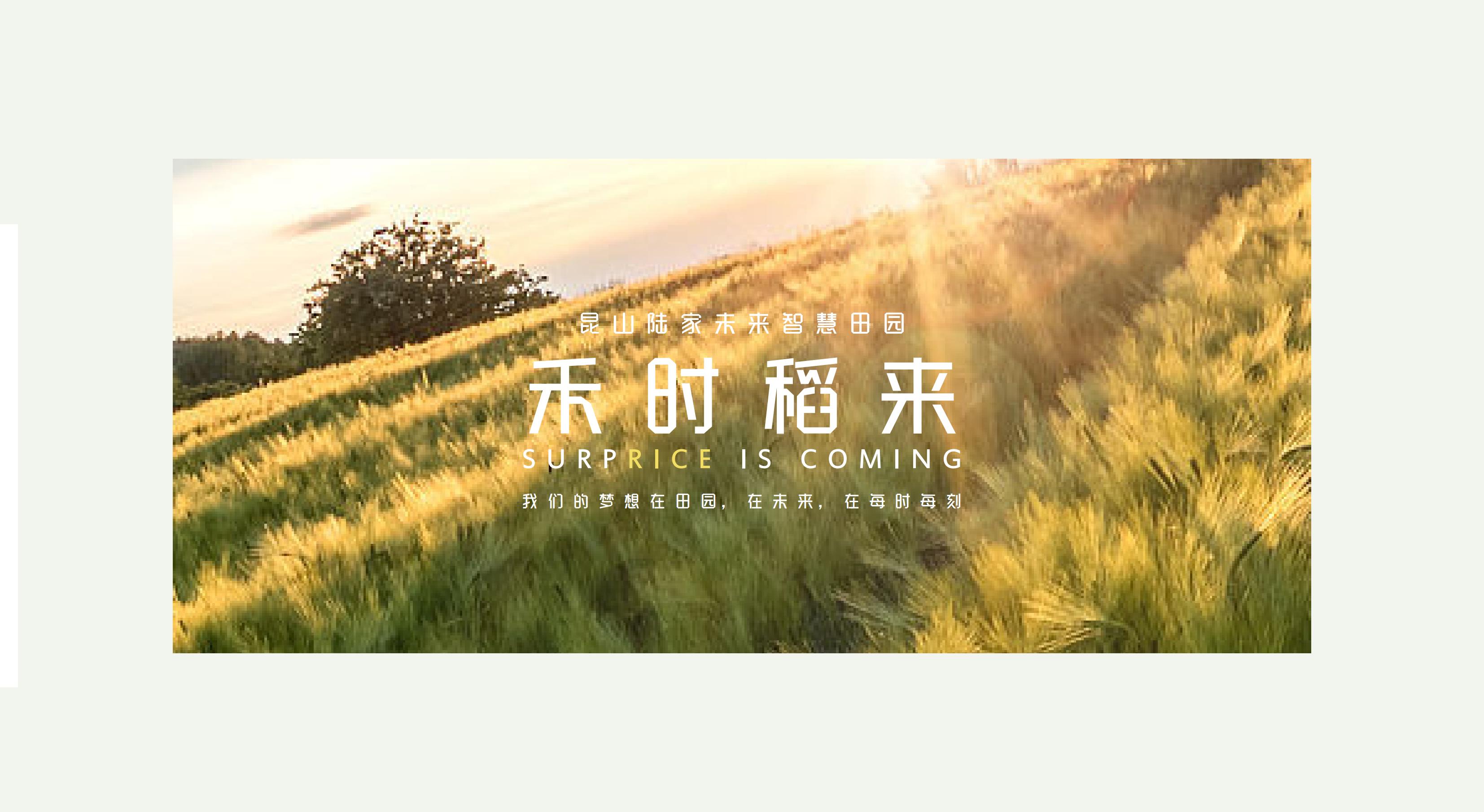 Kunshan Visual Upgrade，