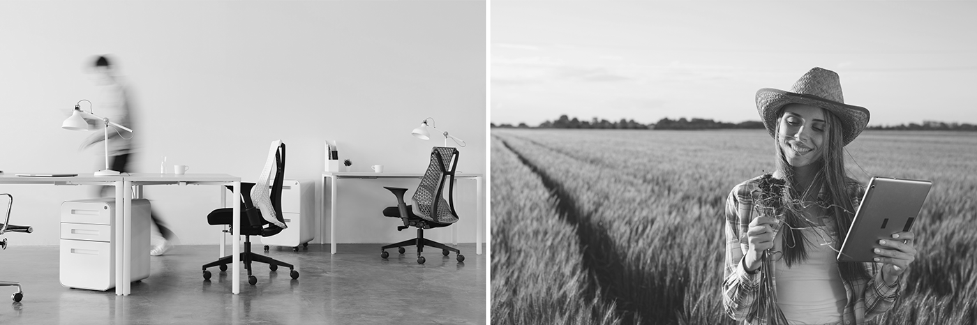 concept，Design，industrial design，natural，Botany，