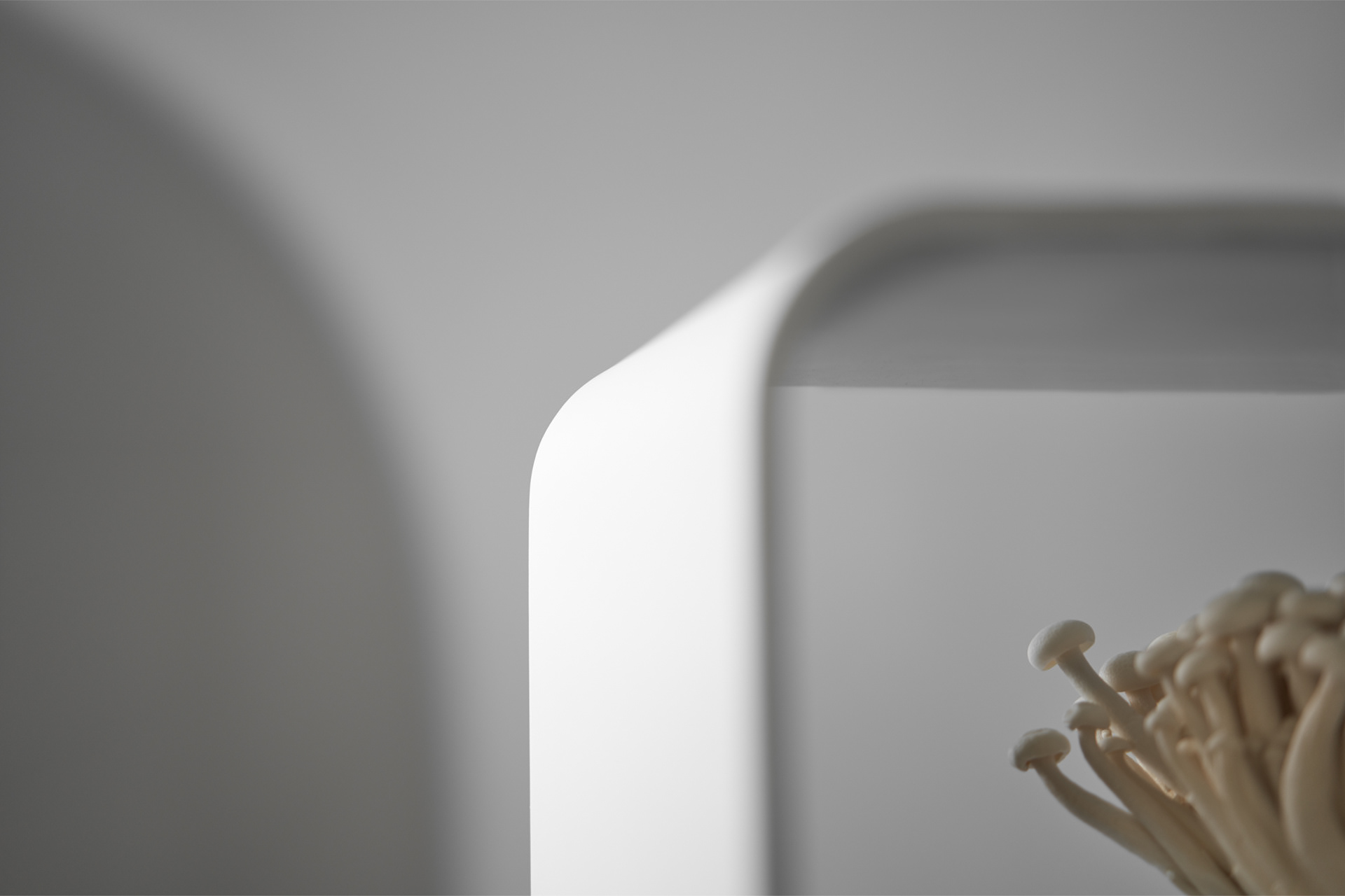 Shrooly，intelligence，Family Garden，Appearance design，