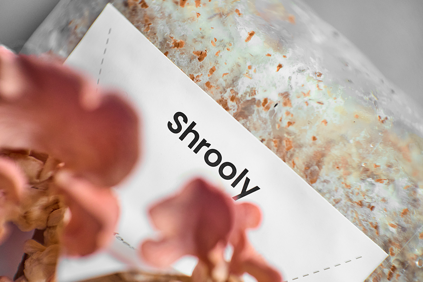 Shrooly，intelligence，Family Garden，Appearance design，