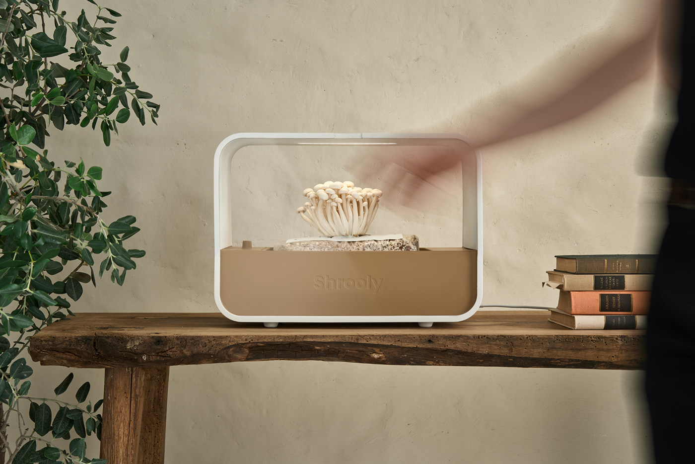 Shrooly，intelligence，Family Garden，Appearance design，