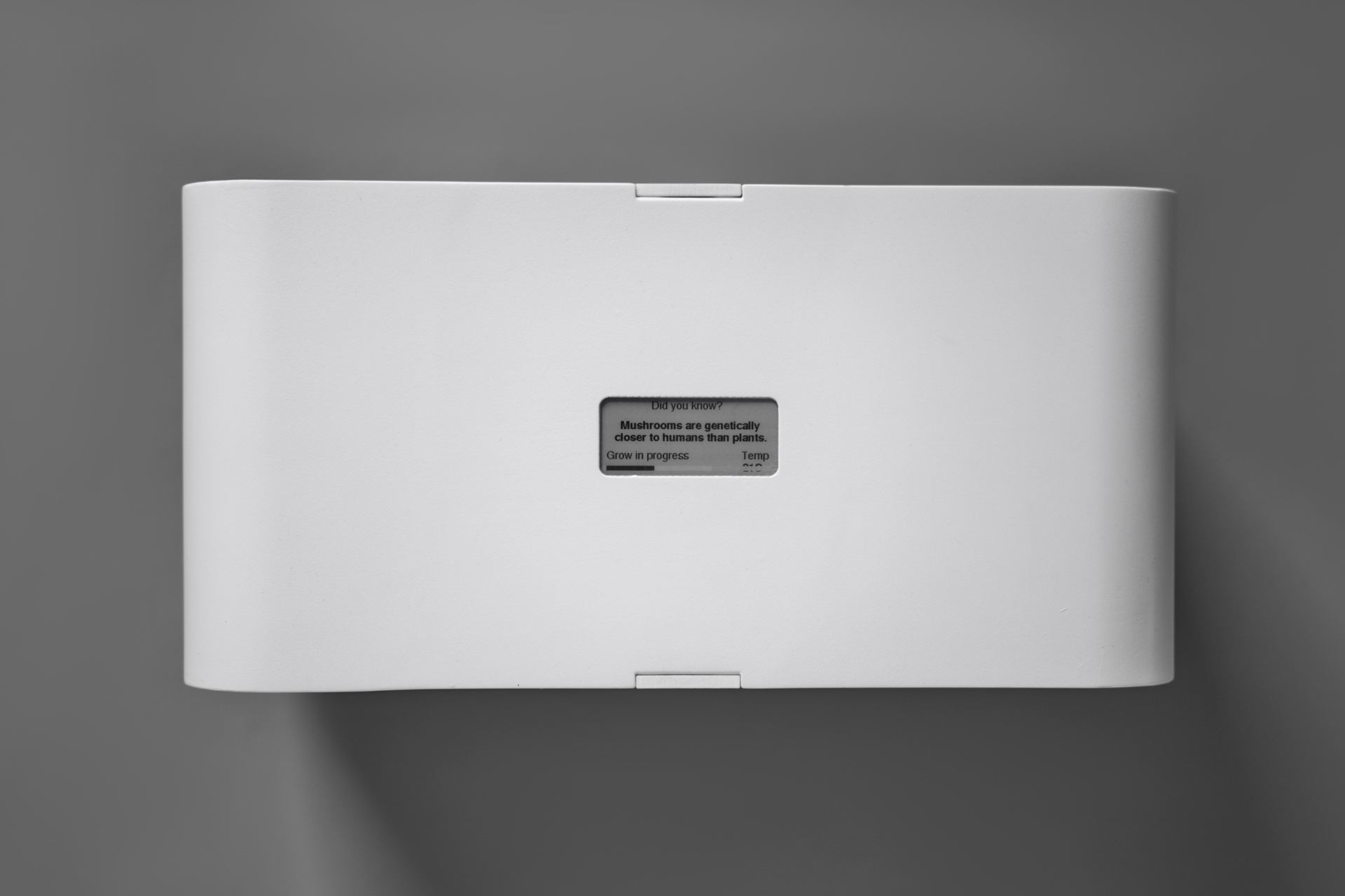 Shrooly，intelligence，Family Garden，Appearance design，