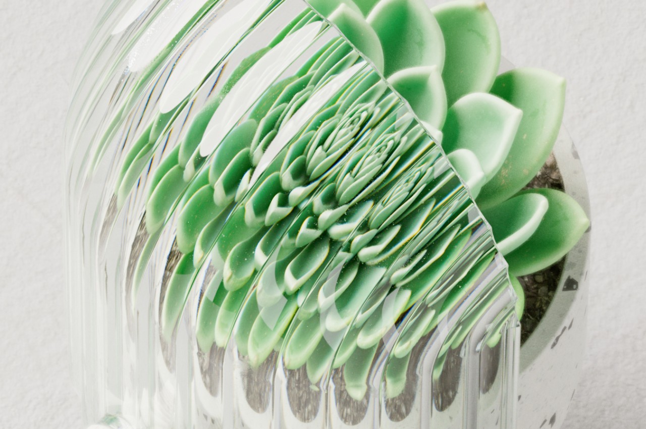 Odd Pot，Flowerpot，decorate，Terrazzo，indoor flower pot，Botany，gardening，