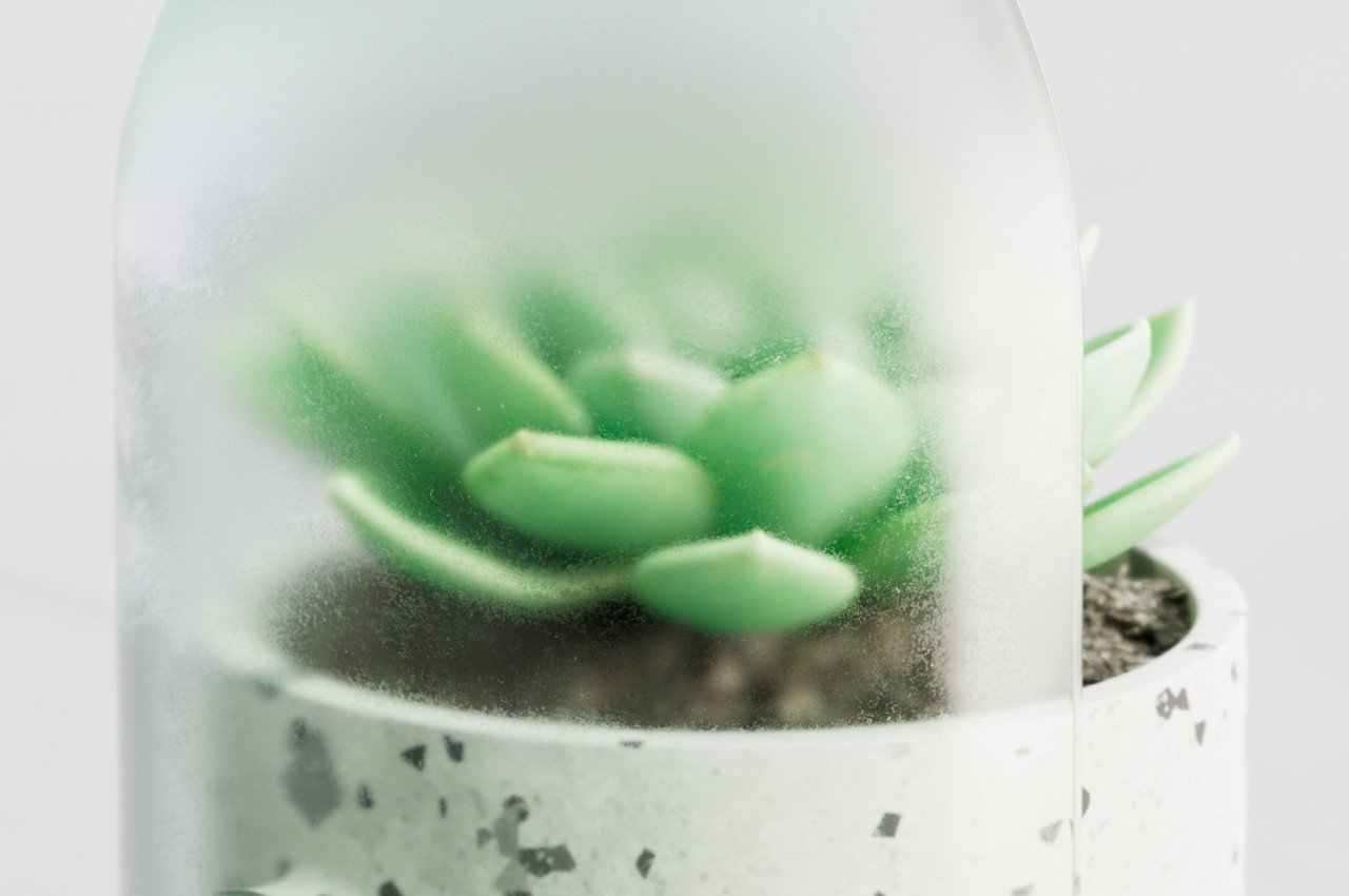 Odd Pot，Flowerpot，decorate，Terrazzo，indoor flower pot，Botany，gardening，