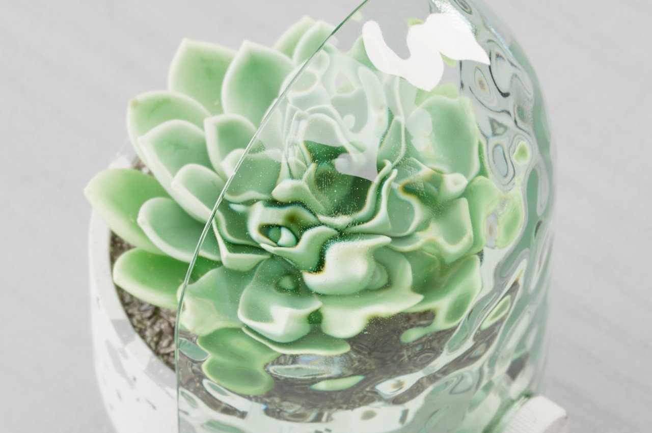 Odd Pot，Flowerpot，decorate，Terrazzo，indoor flower pot，Botany，gardening，