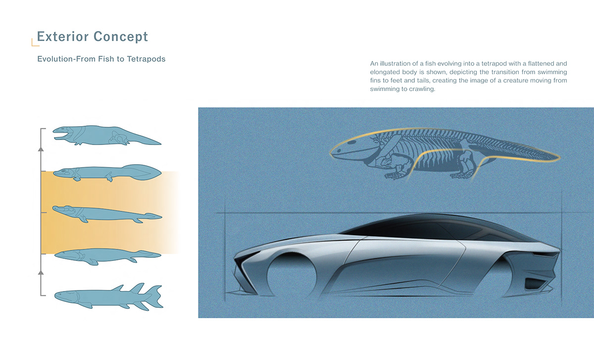 triso，motorcycle，Probe vehicle，Sports car，Off-road vehicle，sample reels，