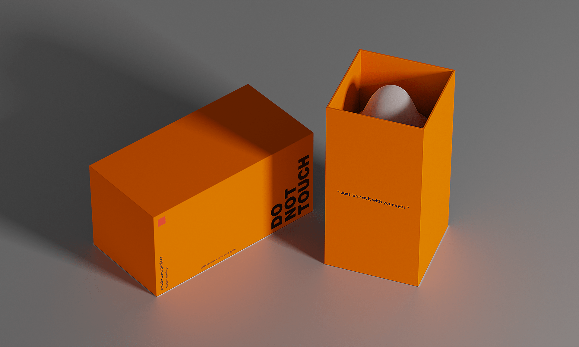 Lighting design，Mushroom，Lamp design，Interior design，natural，product design，