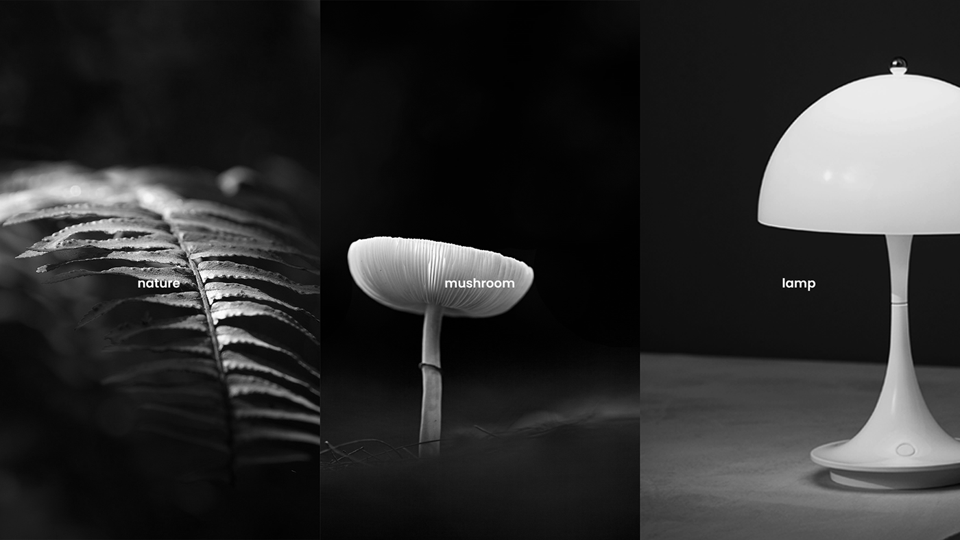 Lighting design，Mushroom，Lamp design，Interior design，natural，product design，