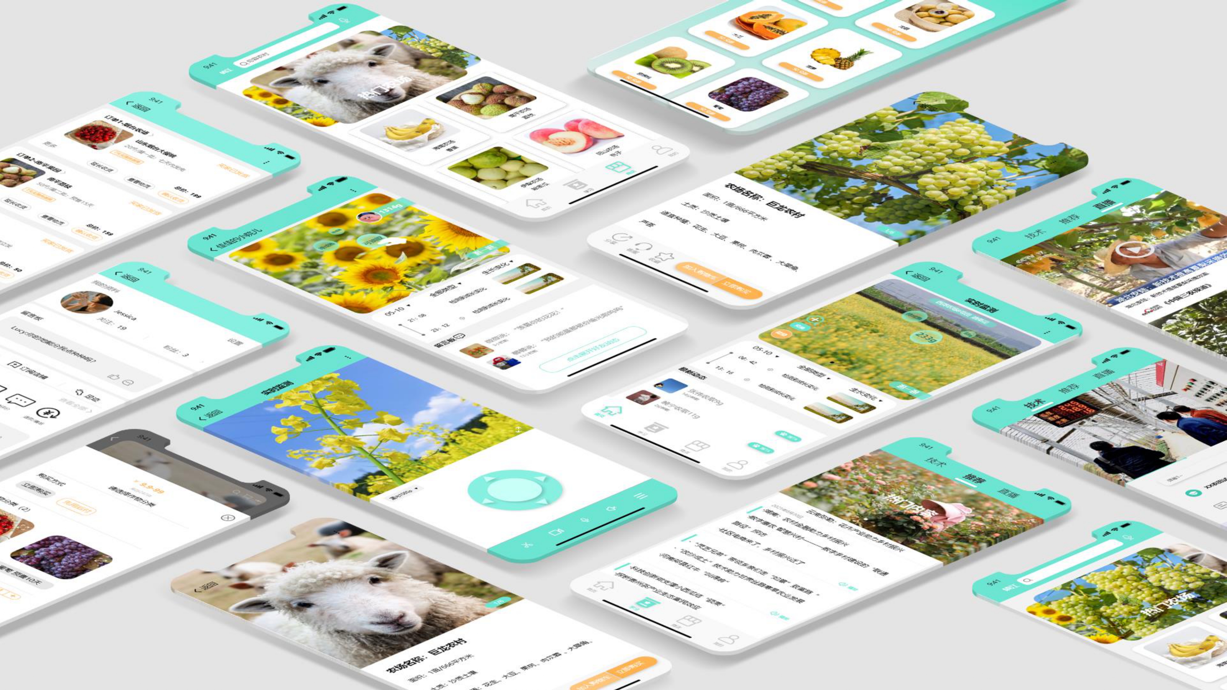 sample reels，UI/UE，product design，job wanted，