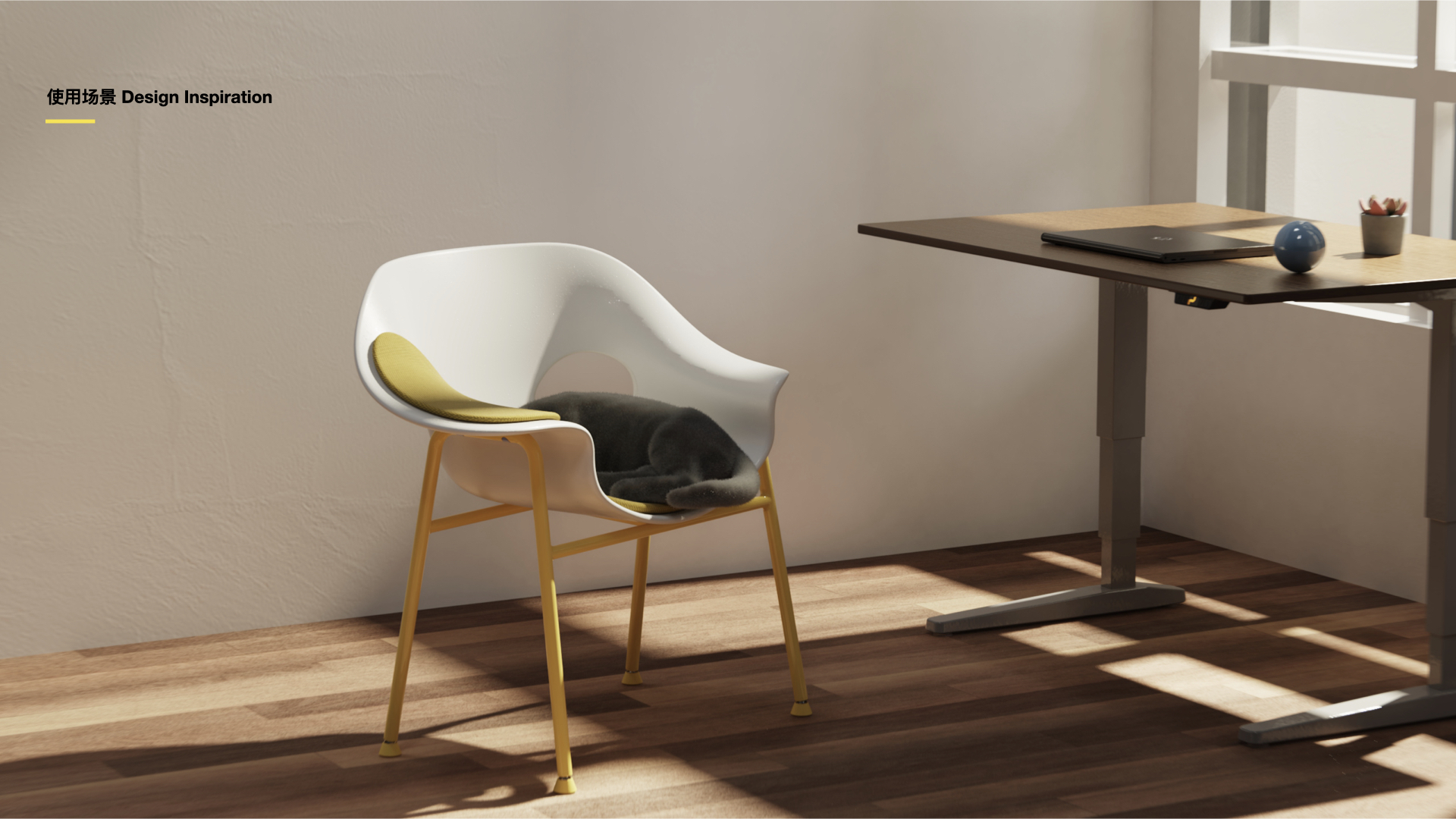 chair，Pet furniture，sample reels，