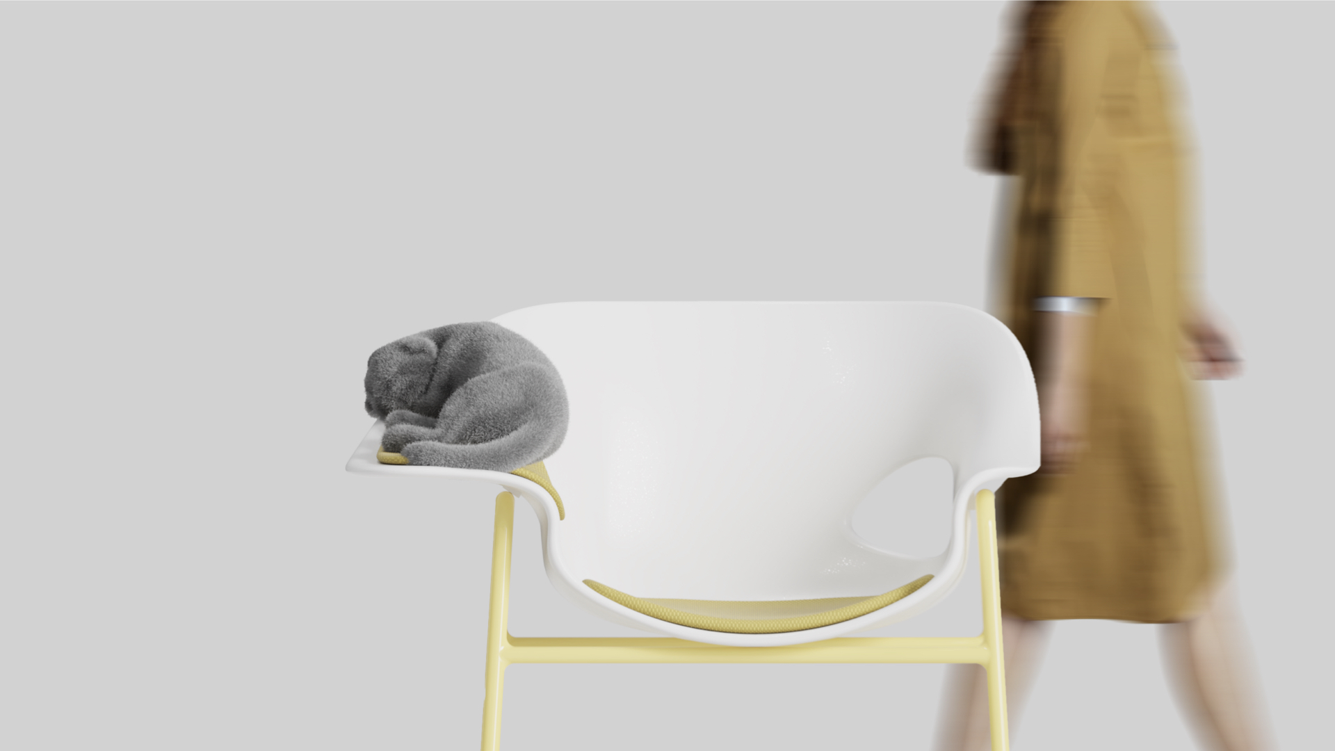 chair，Pet furniture，sample reels，