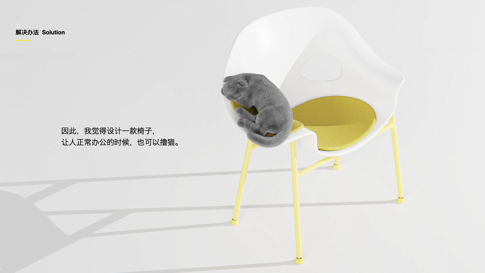 chair，Pet furniture，sample reels，