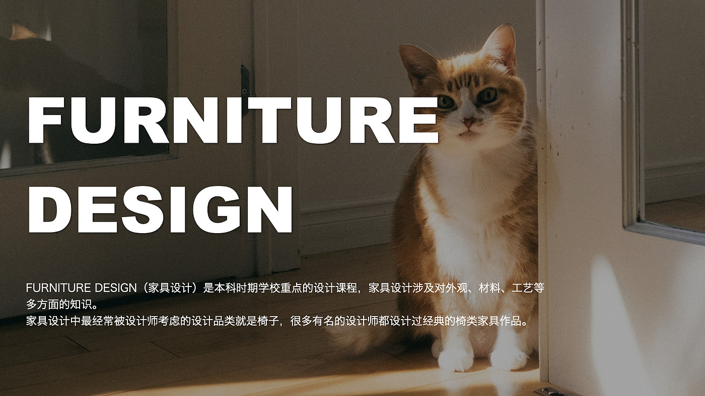 chair，Pet furniture，sample reels，