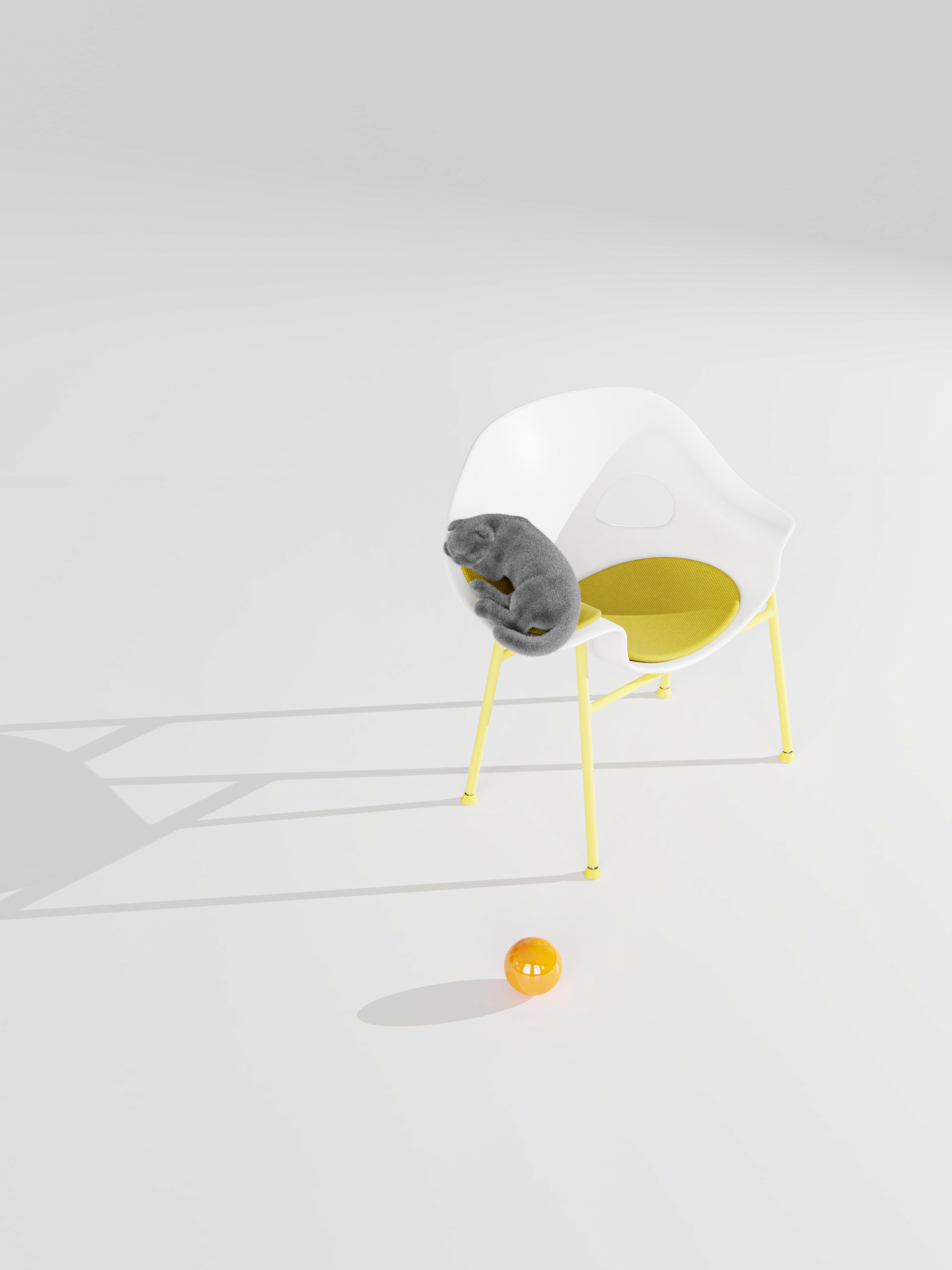 chair，Pet furniture，sample reels，