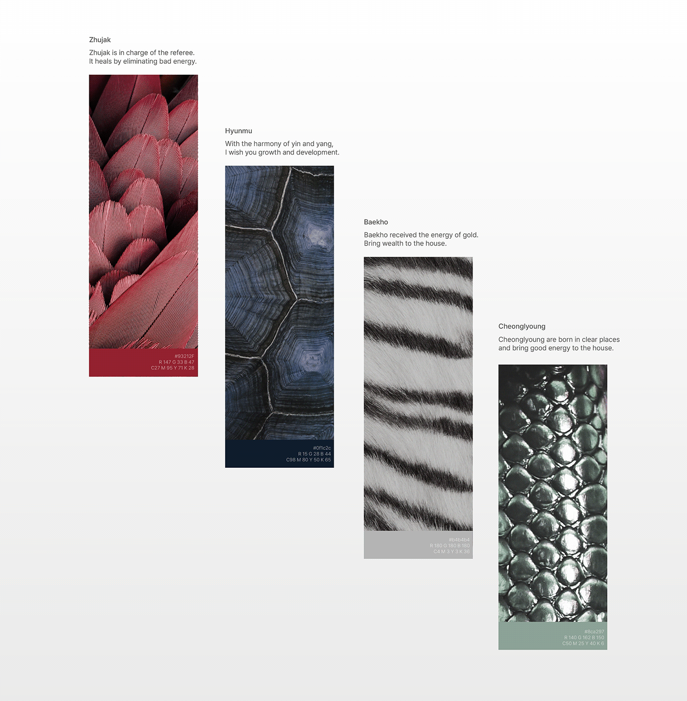 3d，brand，conceptual design，product design，Cleaning tools，Broom，Cleaning brush，