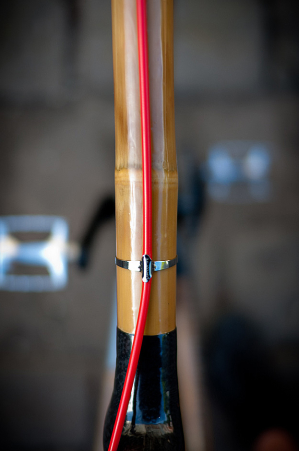 woodiness，Bicycle，Bicycle，bike，bicycle，