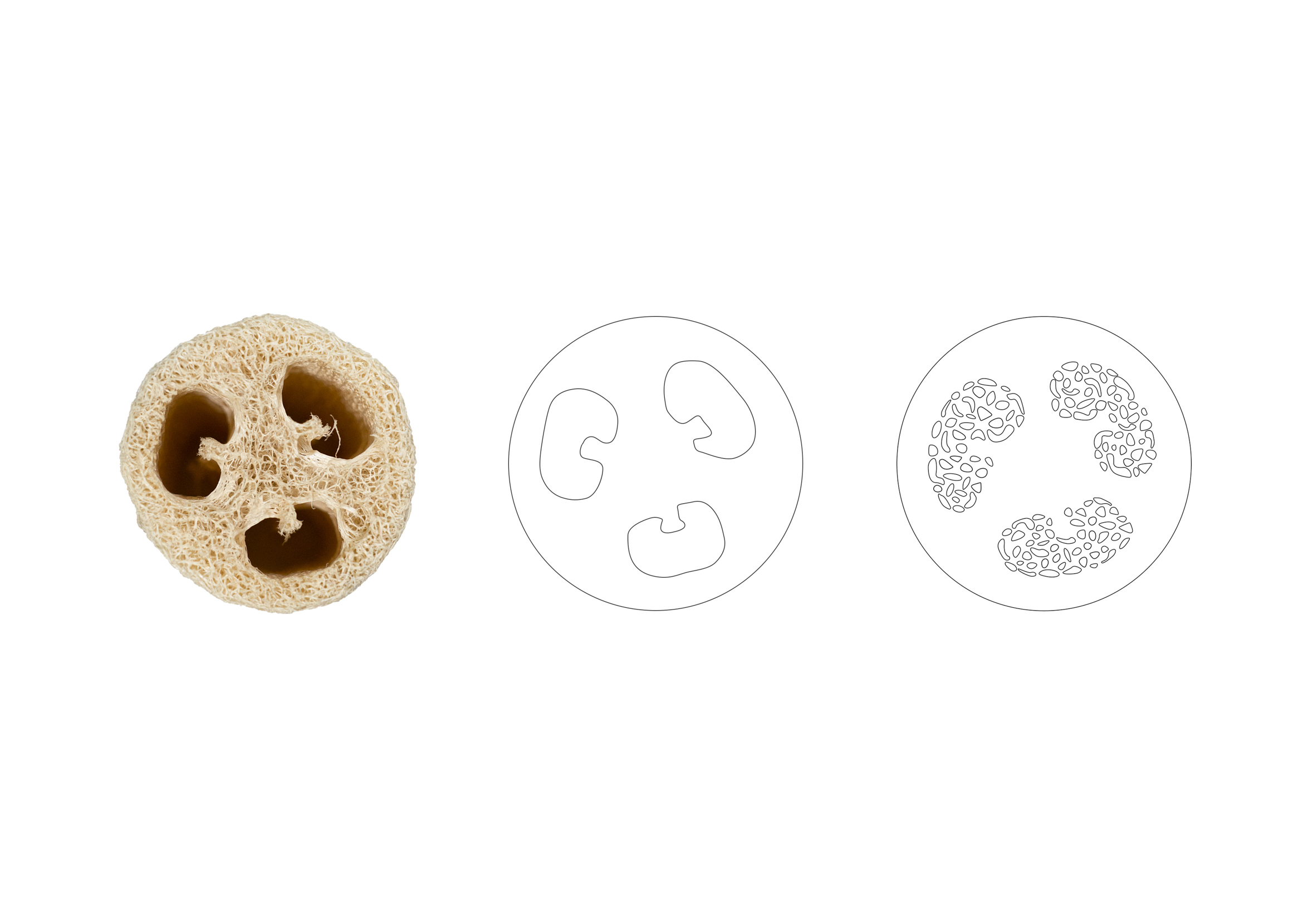 Towel gourd，Mingdu Design，