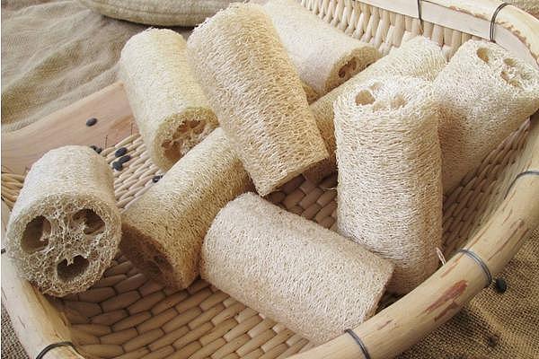 Polymorphic loofah pet nest，