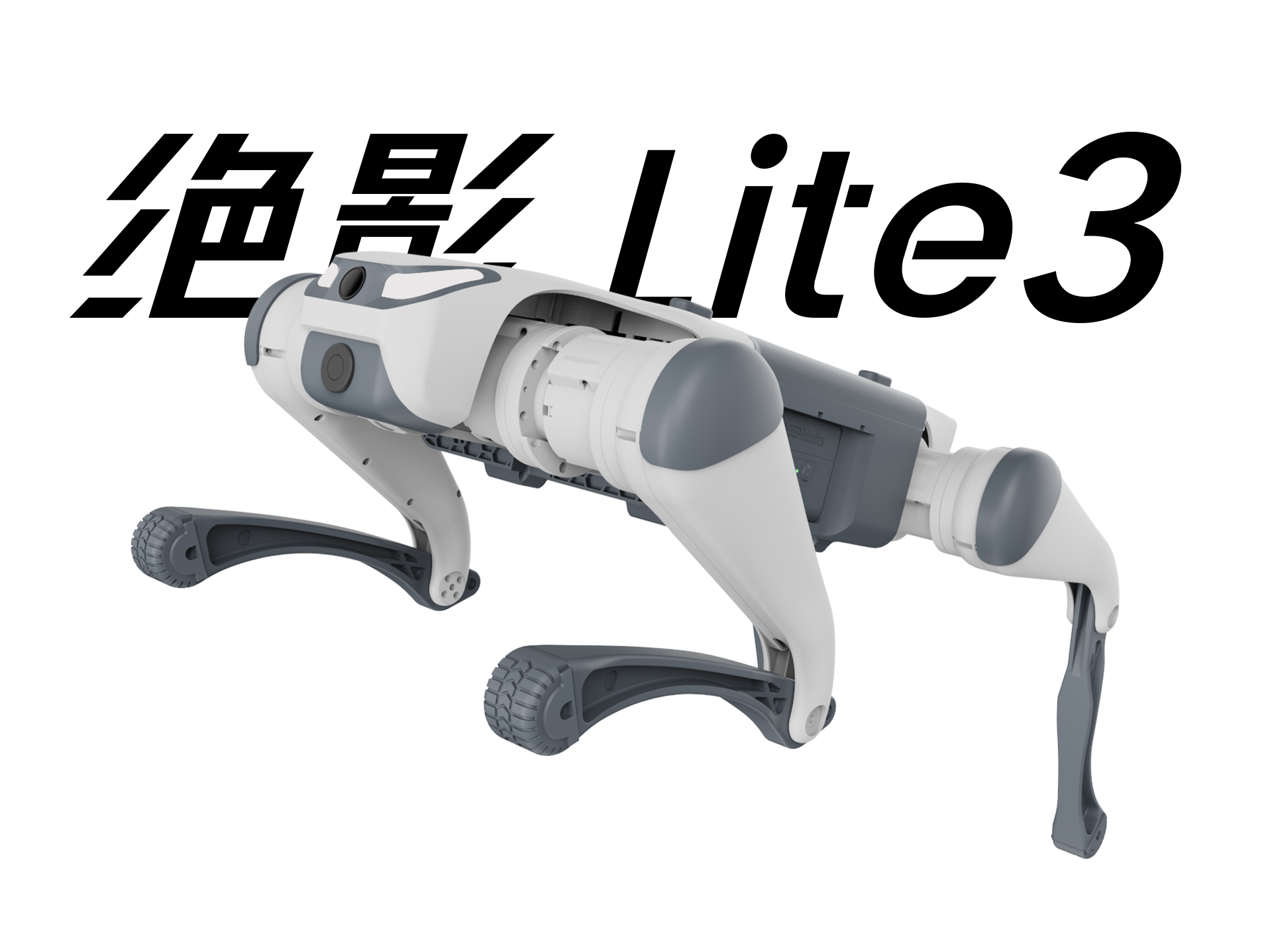 Robot dog，Boston Dynamic ，pet dog，Future life，Companion robot，