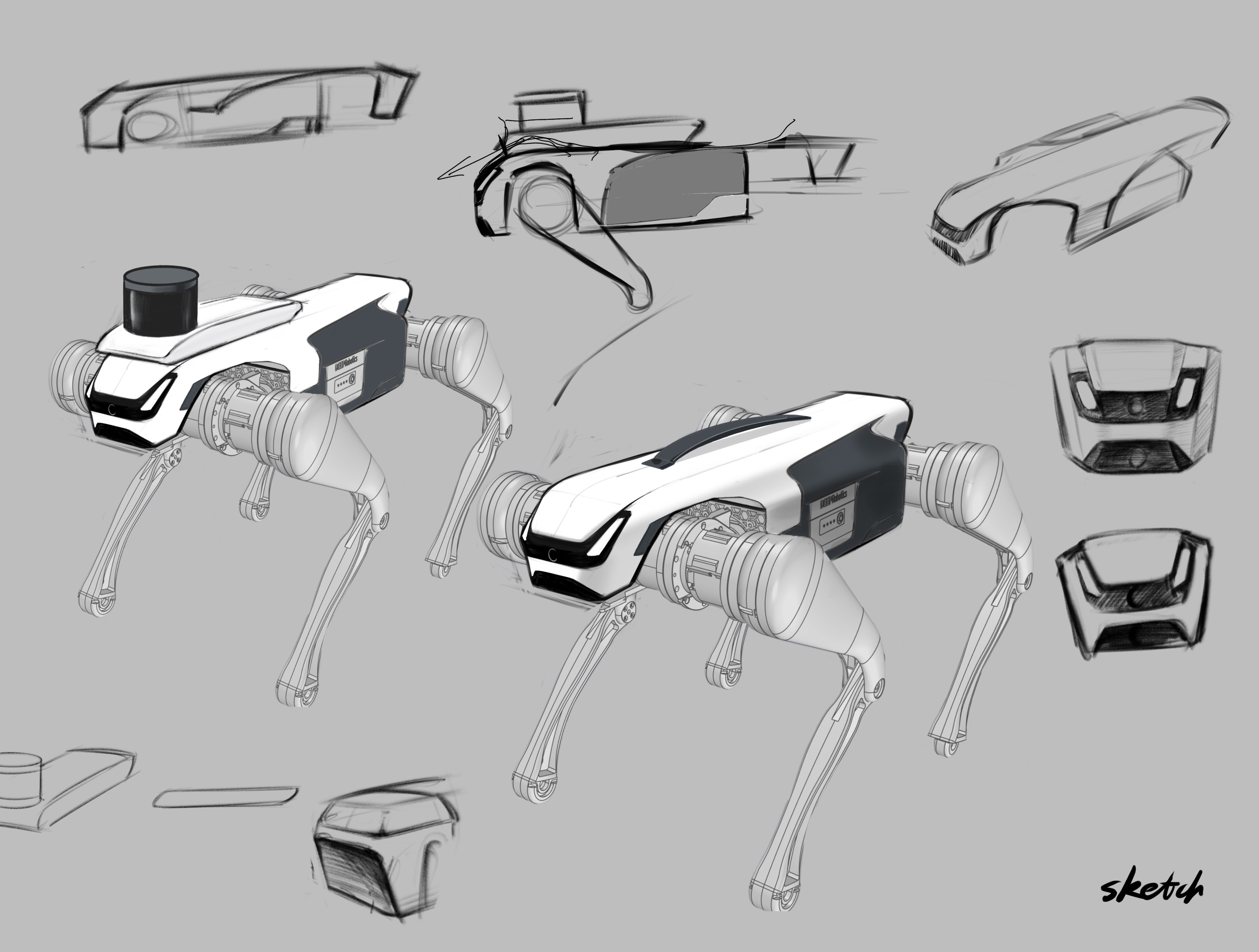 Robot dog，Boston Dynamic ，pet dog，Future life，Companion robot，