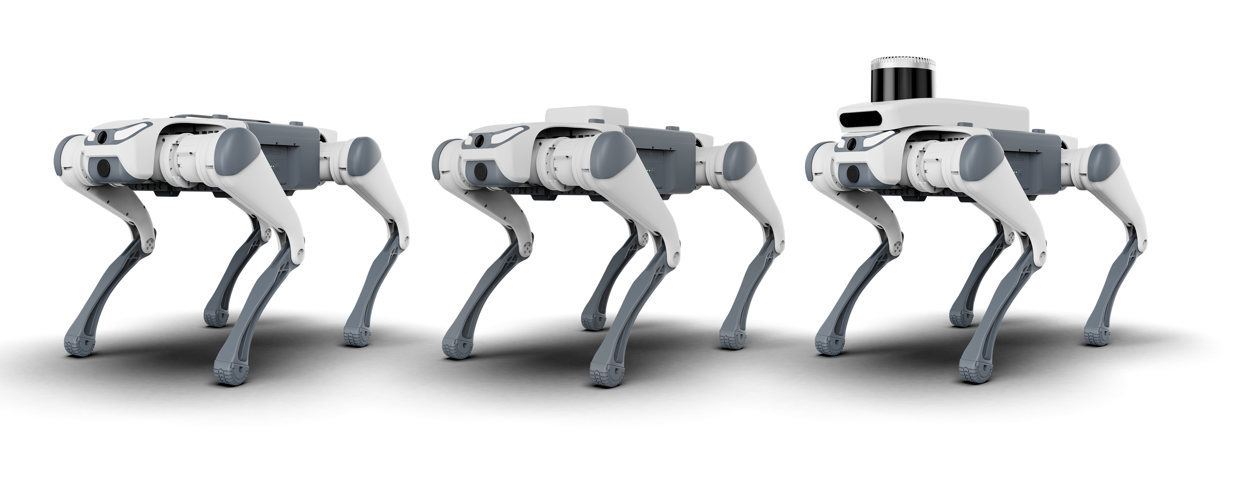 Robot dog，Boston Dynamic ，pet dog，Future life，Companion robot，