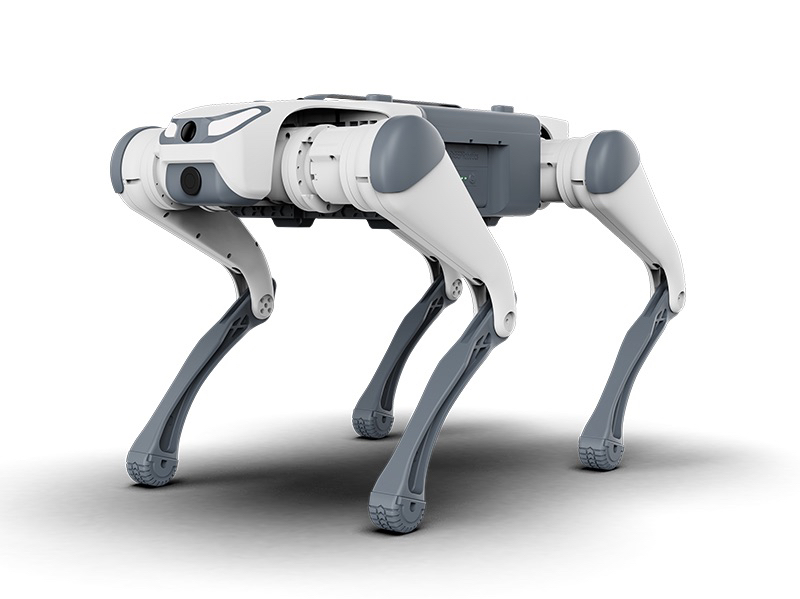 Robot dog，Boston Dynamic ，pet dog，Future life，Companion robot，