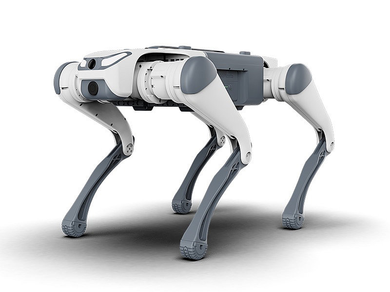 机器狗，四足机器人，宠物狗，未来生活，陪伴机器人，