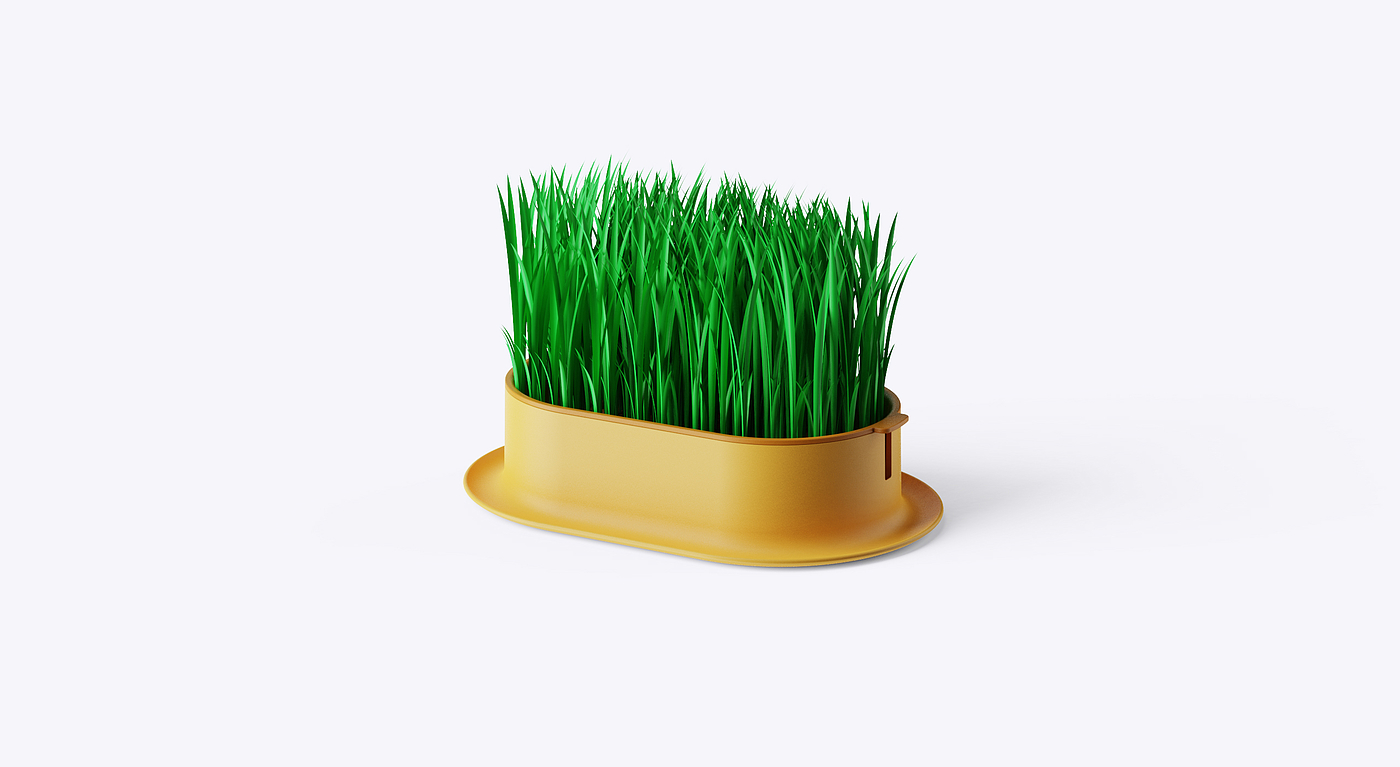 Cat grass，Hydroponic culture，Pet Supplies & Pet，