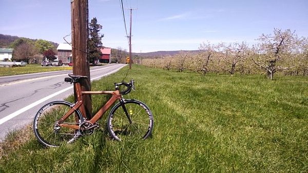 woodiness，Bicycle，Bicycle，bike，bicycle，