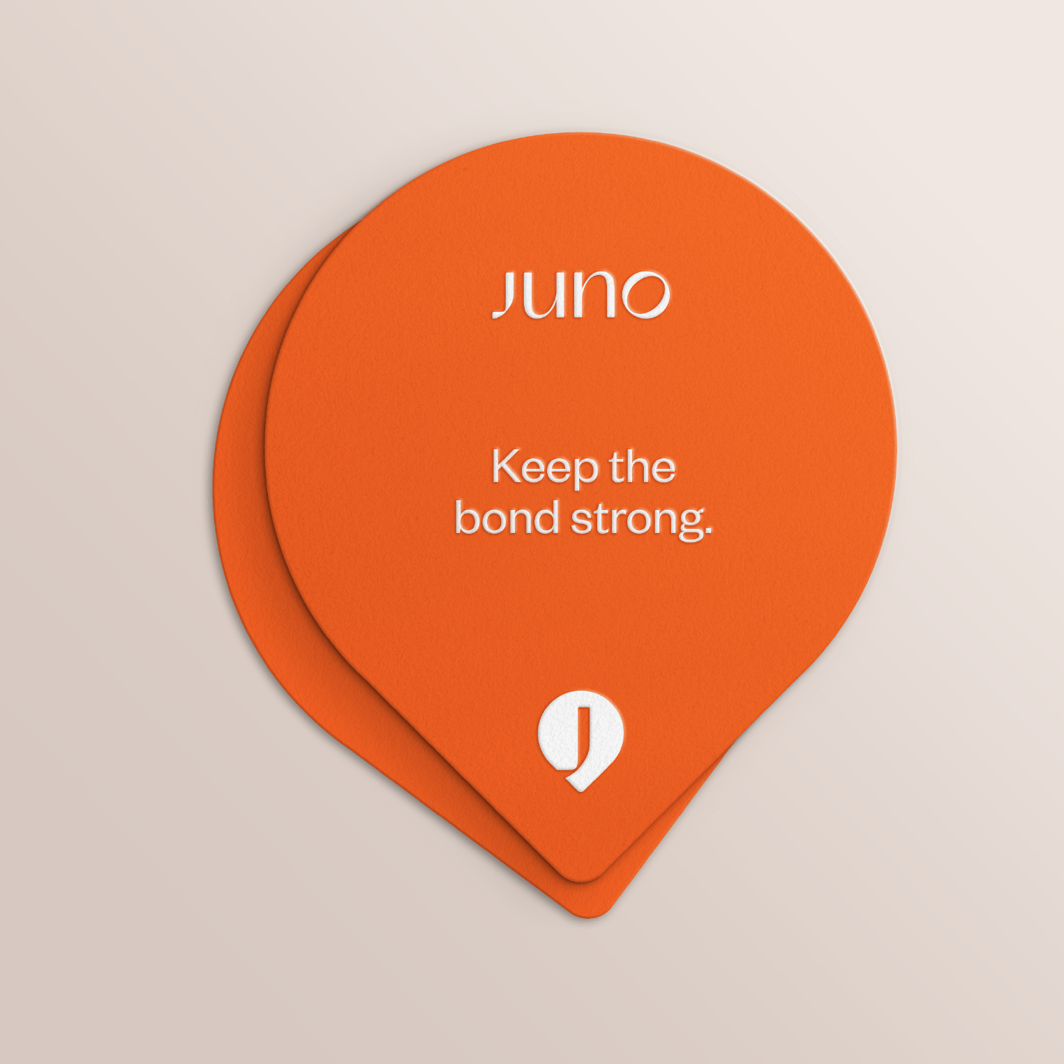 a collar for a horse，dog，Pets，intelligence，